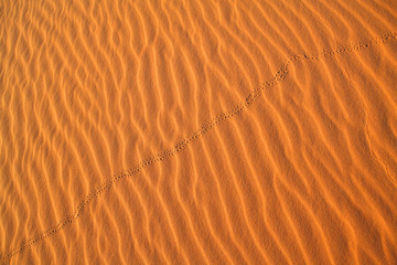 Sahara desert background
