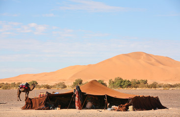 The nomad (Berber) tent - obrazy, fototapety, plakaty