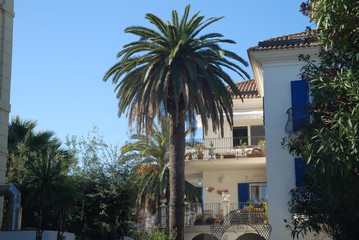 Fototapeta premium Casa dietro la palma