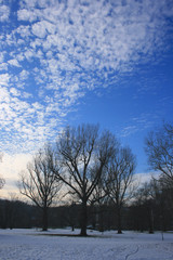 Fototapeta premium Winter