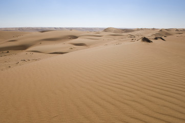 Wahiba Desert Oman