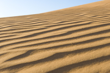 Patterns in the desert sand