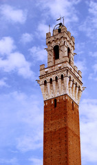 Fototapeta na wymiar Torre del mangia, Sienna