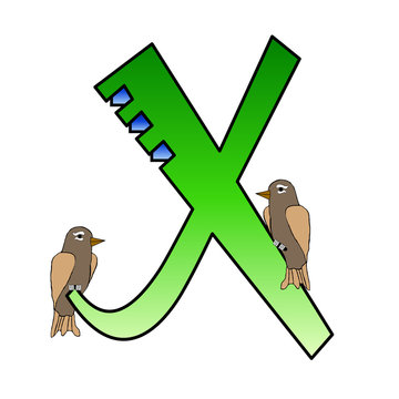 Alphabet - Letter X - With Xenops Rainforest Birds - Isolated