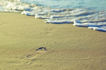 Fototapeta na wymiar footprint on a beach