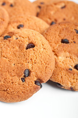 a group of chocolate chip cookies on white background