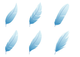 feather