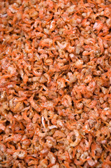 Dry shrimps in traditional chinese store in Queens, NY