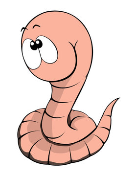 Worm