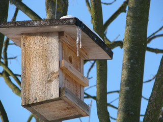 vogelhaus