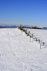 paysage aubrac