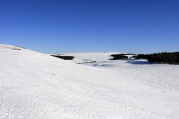 paysage aubrac