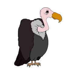 Vulture Cartoon - Isolated On White