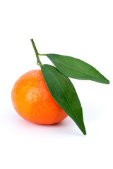 Single mandarine with leaves