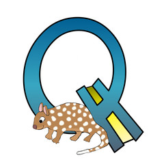 Alphabet - Letter Q - With A Quoll - Isolated On White