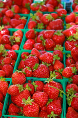 Freshly harvested strawberries at a Farmer's Market