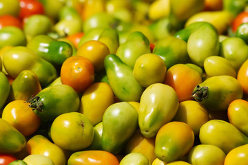 Pile of small green tomatoes