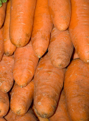 Carrots 1