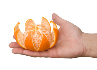 Hand holding tangerine
