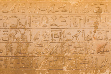 Fototapeta na wymiar Egipskie hieroglify z Saqqary, Kair