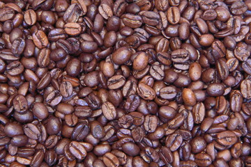 bean series