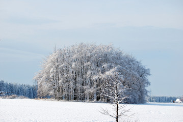 Winterlandschaft