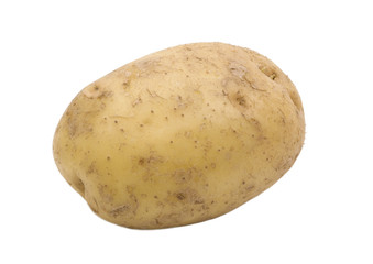 single potato isolated on white background