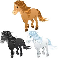  three horses or pony © ddraw