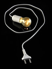 Fototapeta premium bulb