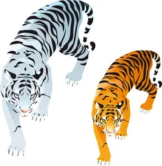 Deurstickers Tigers © ddraw