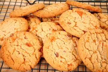 Buttery, Brittle, Candy Bit Cookies
