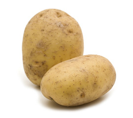 raw potatoes on white background