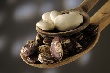 Fagioli corona e fagioli del papa secchi