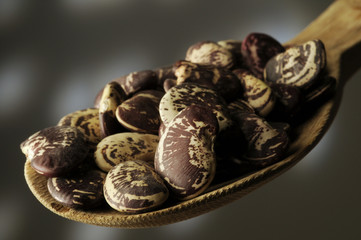 Fagioli del papa