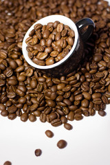 coffee beans in the cup