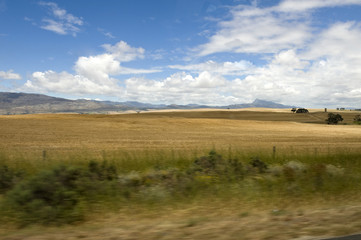 Obraz premium Canola fields in the Western Cape, South Africa