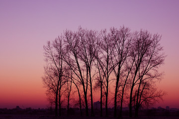 Fototapeta na wymiar Sonnenuntergang im Winter