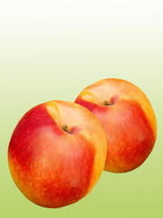 Fruit a peach and apricot hybrid