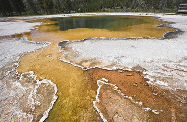Yellowstone