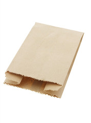 Disposable paper bag