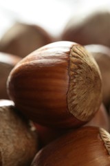 Delicious hazelnuts, macro detail, warm golden light