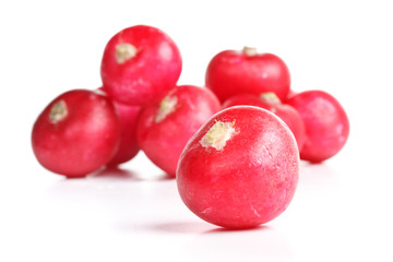 Fresh radish