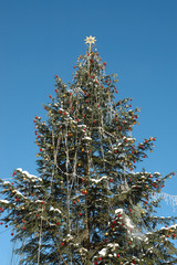 Christmas tree with golden star