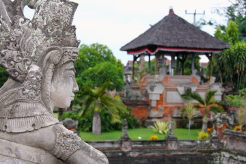 Fototapeta na wymiar Bali 5968