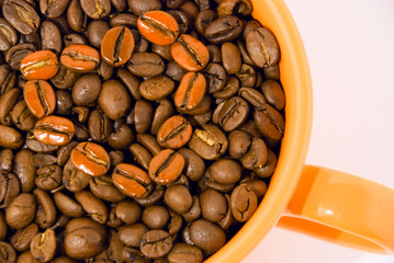 grain of coffee in a cup