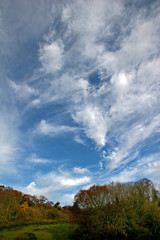 clouds over autumn meadow