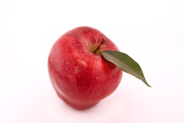 apple on a white background