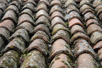 Roof tiles