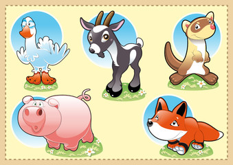 Farm Baby Animals
