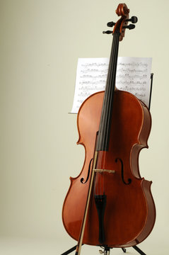 Violoncello